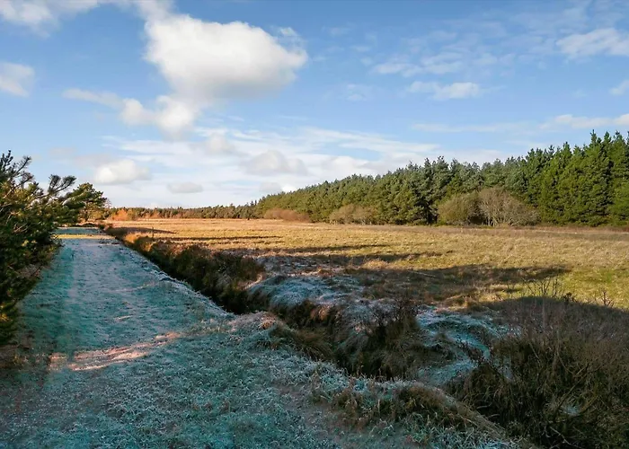 بيت للعطل Bv431-blavand-vesterballevej-16